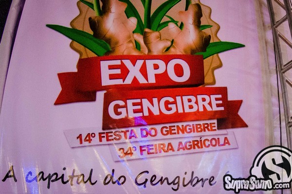 Expo Gengibre 2015