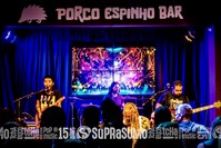 Porco Espinho